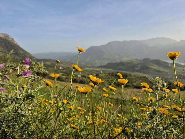 Surroundings
