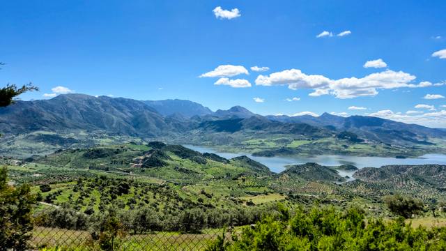 View