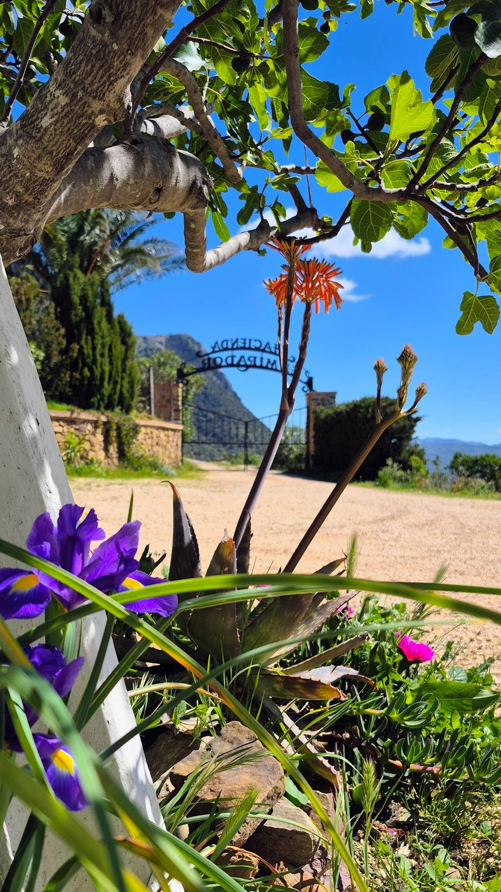 Hacienda view